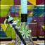 Small image 5