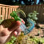 Small image 0
