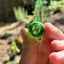 Small image 2