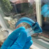Small image 3
