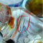 Small image 6