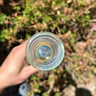 Small image 4