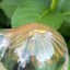 Small image 7