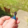 Small image 0