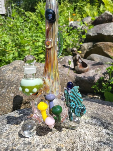 Preview pic of Nature Rig