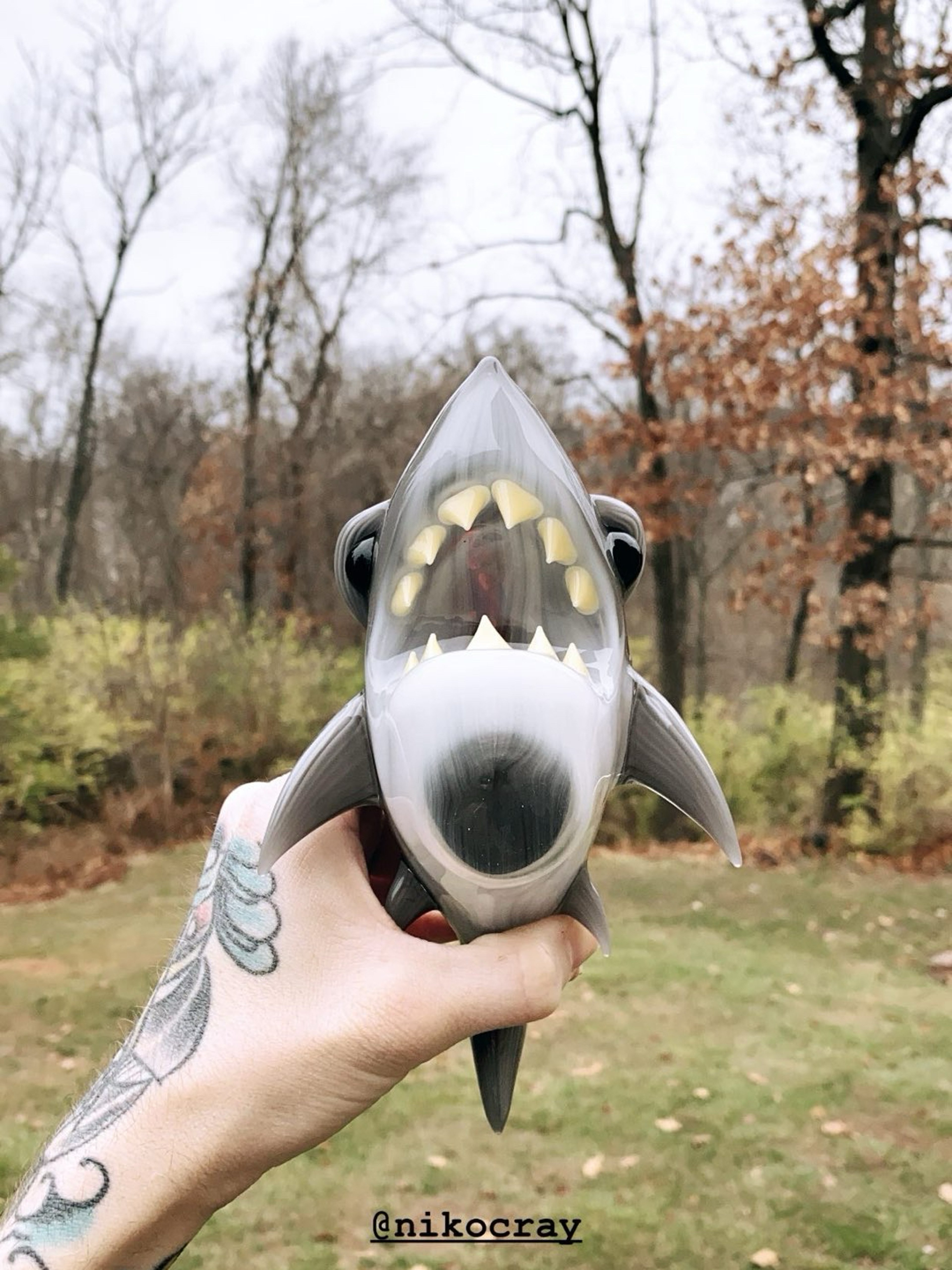 Niko Cray Shark image 0