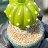 Small image 3
