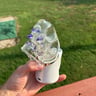 Small image 4