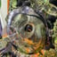 Small image 3