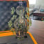 Small image 8