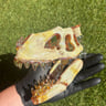 Small image 1