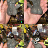 Small image 0