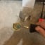 Small image 7