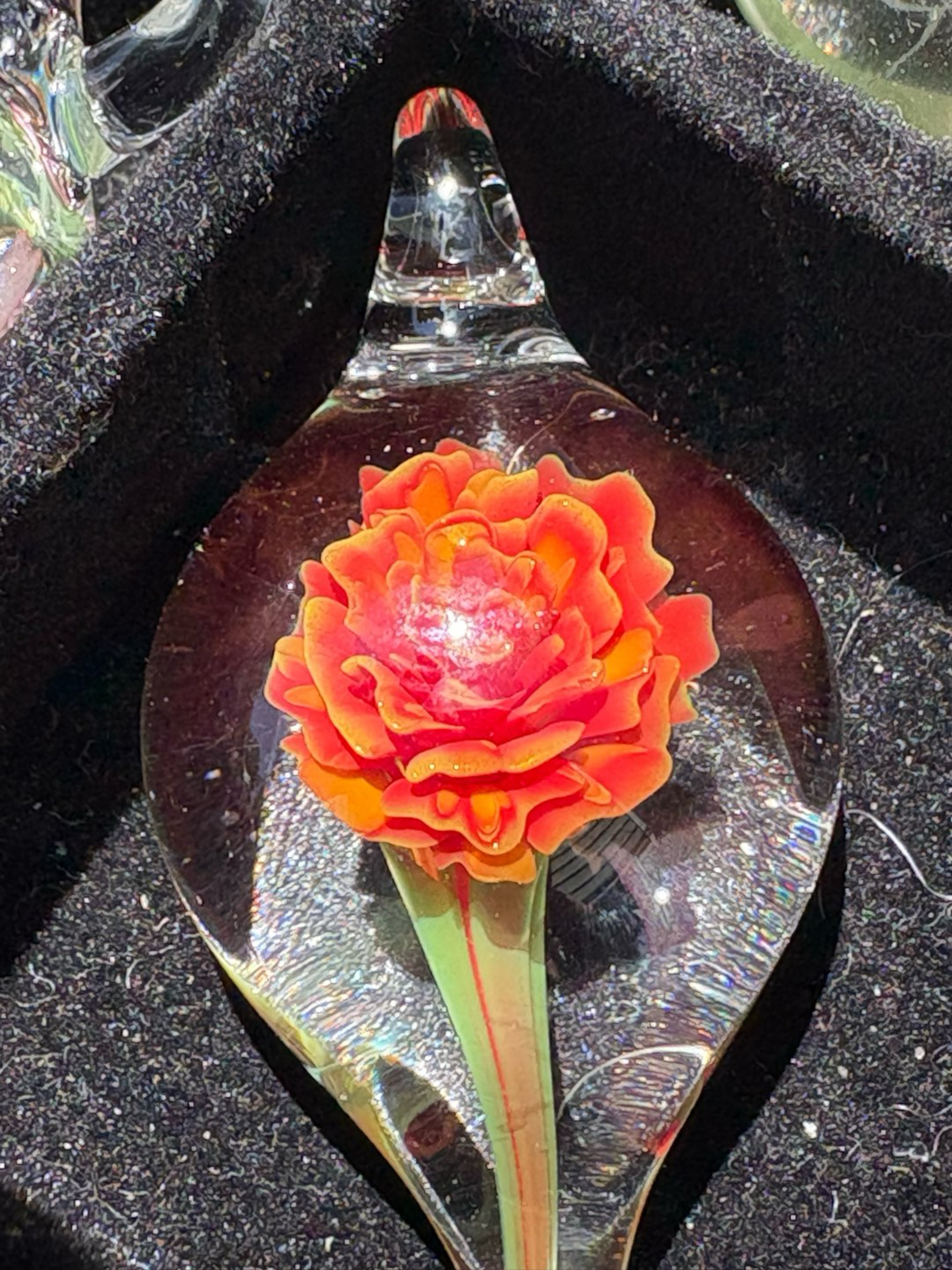 Preview pic of 2025 Rose