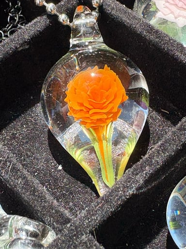 Preview pic of Orange Rose 2025