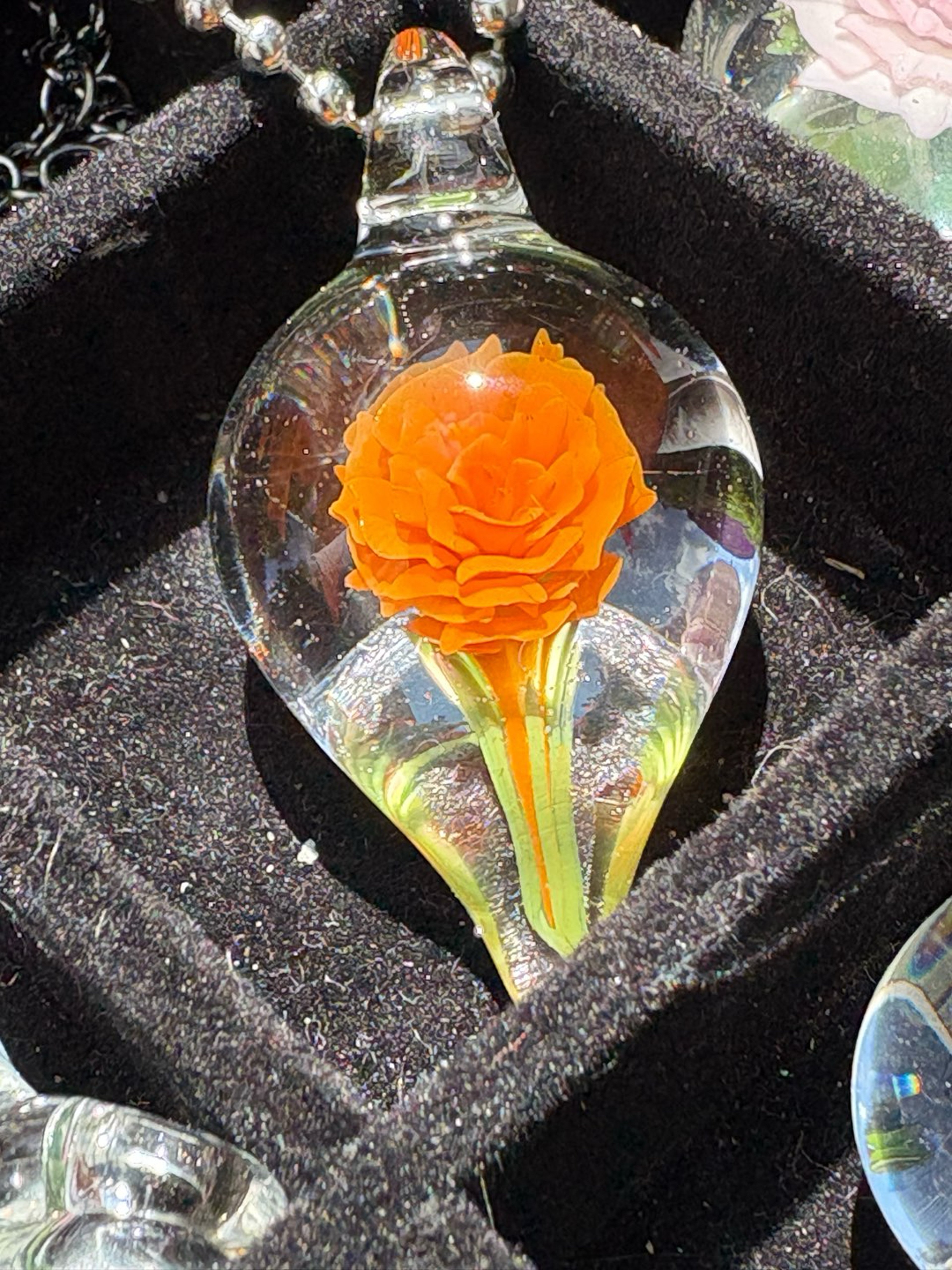 Preview pic of Orange Rose 2025