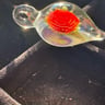 Small image 4