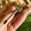 Small image 6