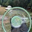 Small image 5