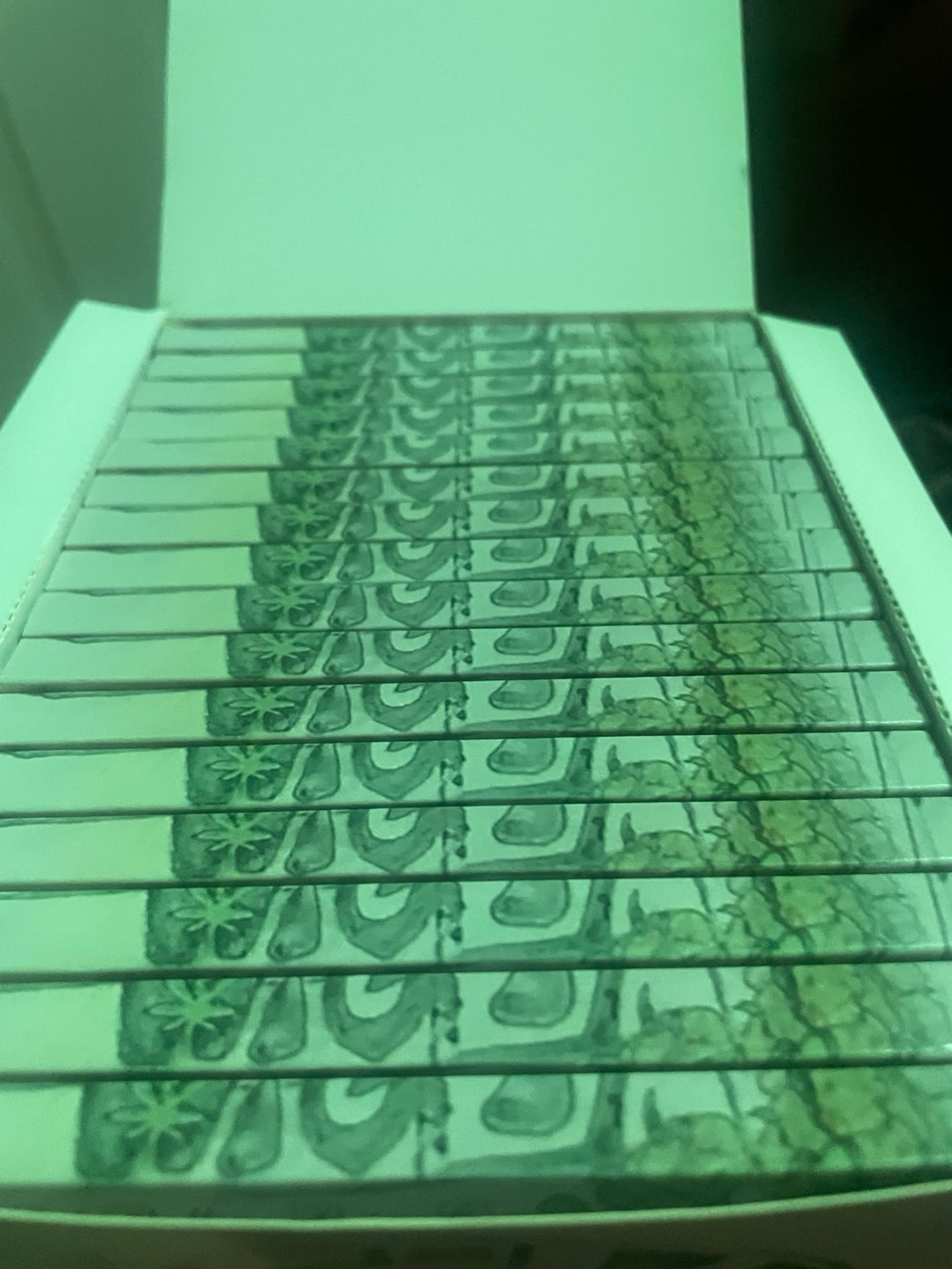 Preview pic of 3 Pack Limited edition Really High rolling papers w filters