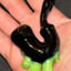 Small image 7