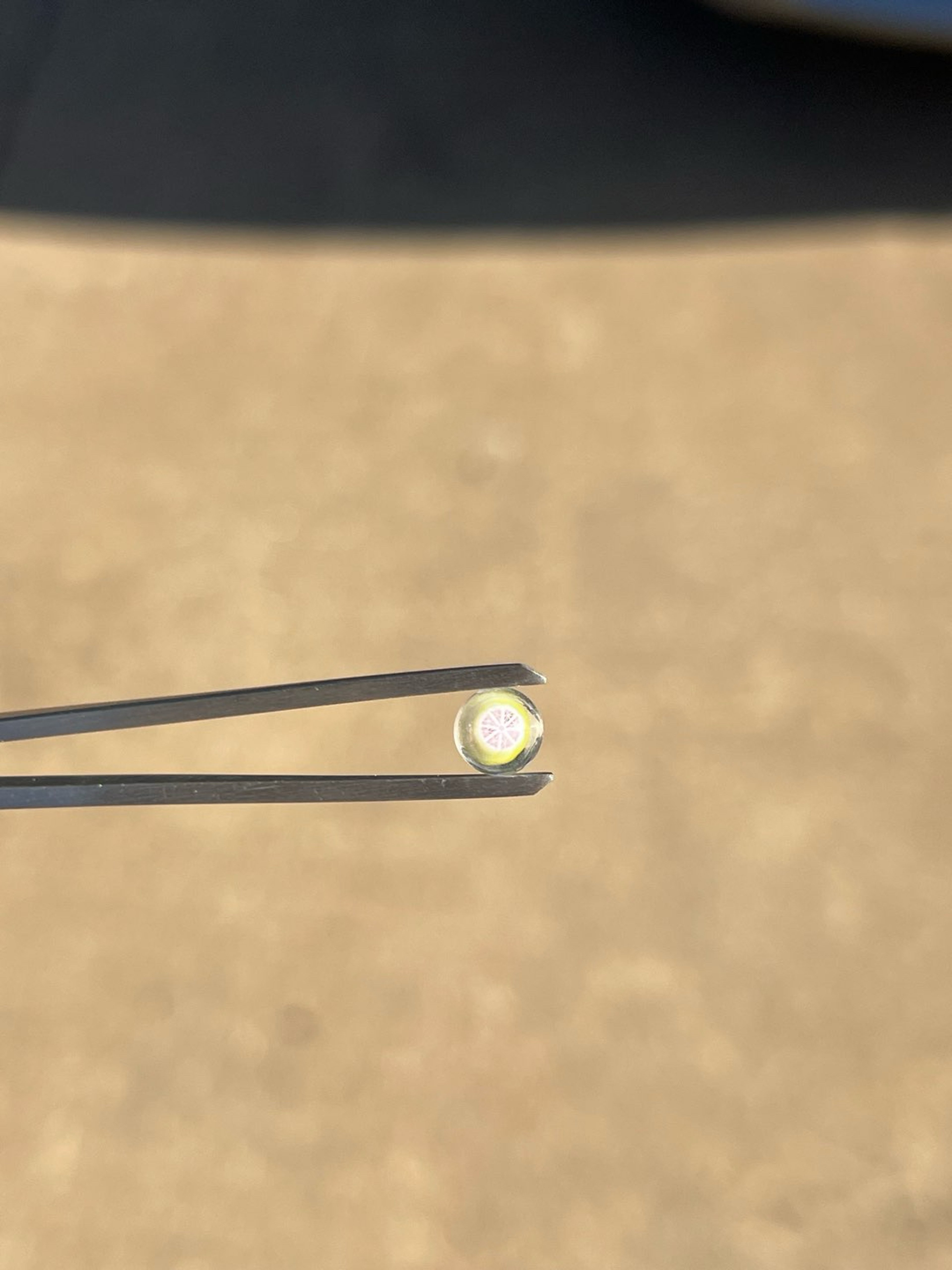 Preview pic of Lyons Pearl - Grapelime Inception