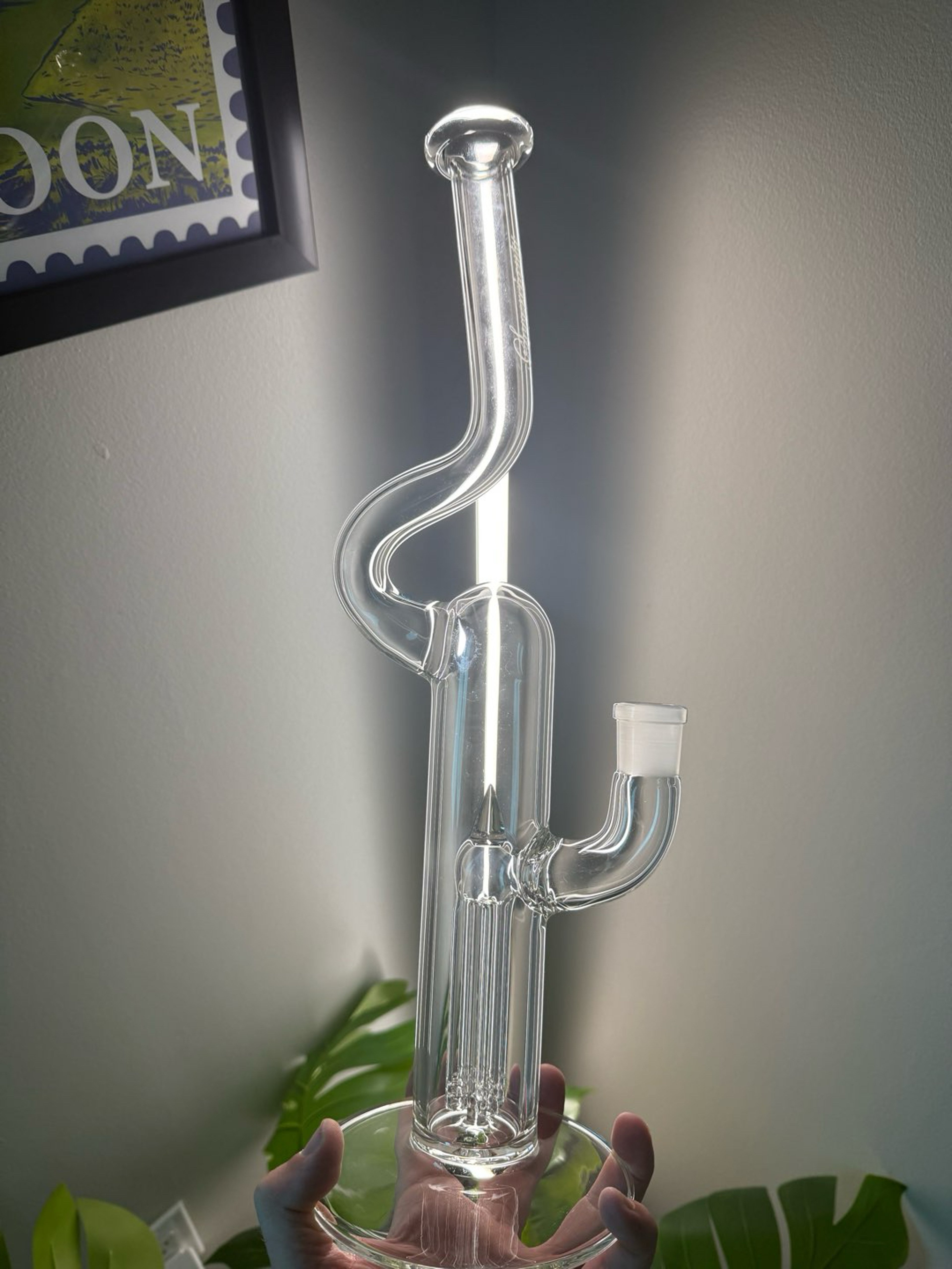 Preview pic of Sovereignty Fixed 4 Natty Neck
