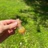 Small image 3