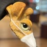 Small image 1