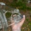 Small image 5