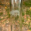 Small image 6