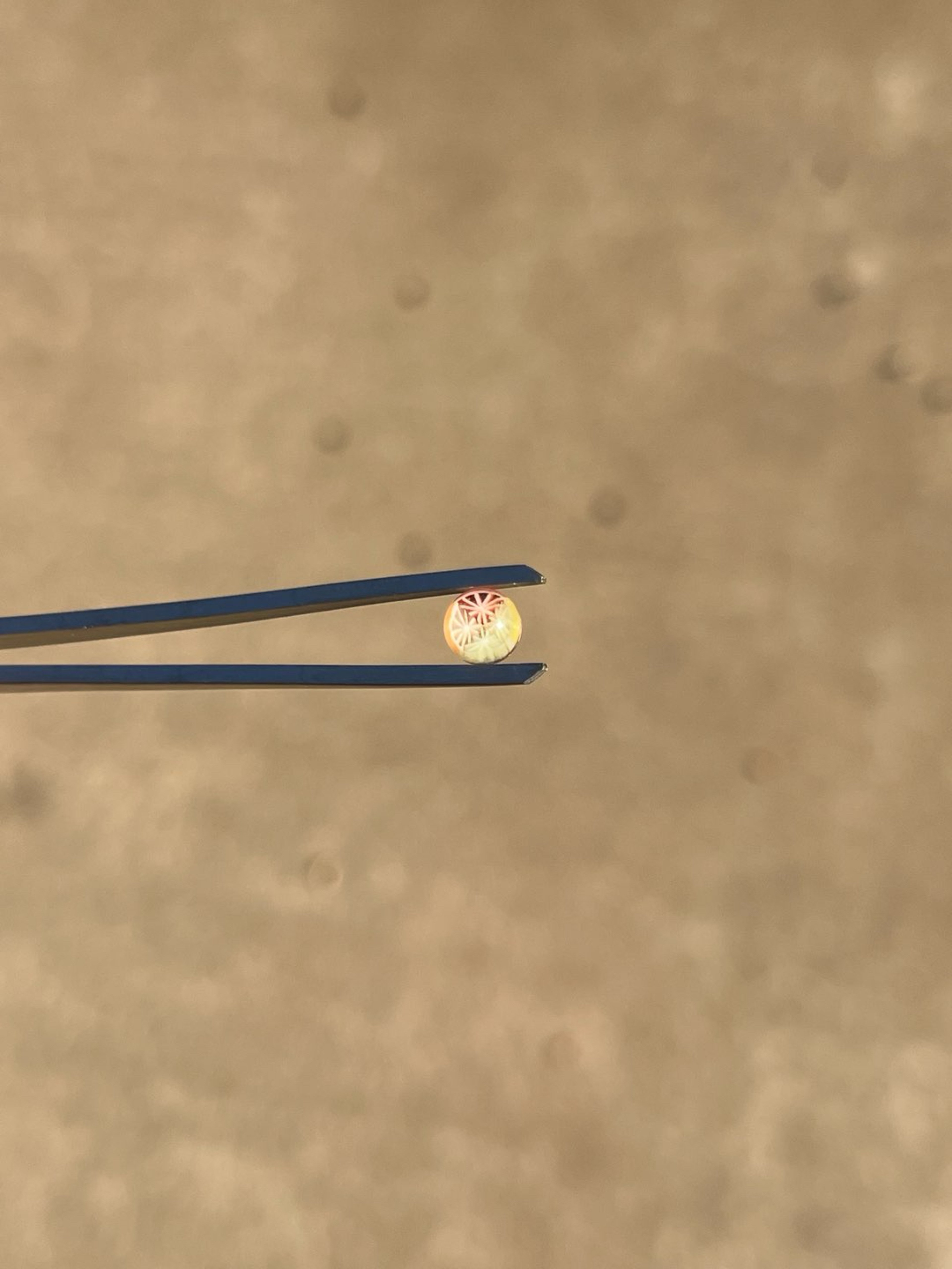 Preview pic of Lyons Terp Pearl - 4 way Inception