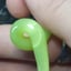 Small image 8