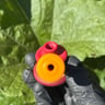 Small image 2