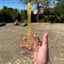 Small image 3
