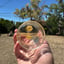 Small image 4