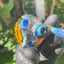 Small image 7
