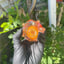 Small image 2