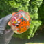 Small image 6