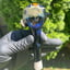 Small image 1