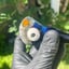 Small image 5