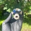 Small image 6