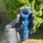 Small image 7