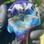 Small image 7