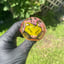 Small image 8