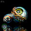 Small image 8