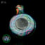 Small image 7
