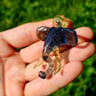 Small image 2