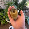 Small image 3