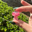 Small image 7